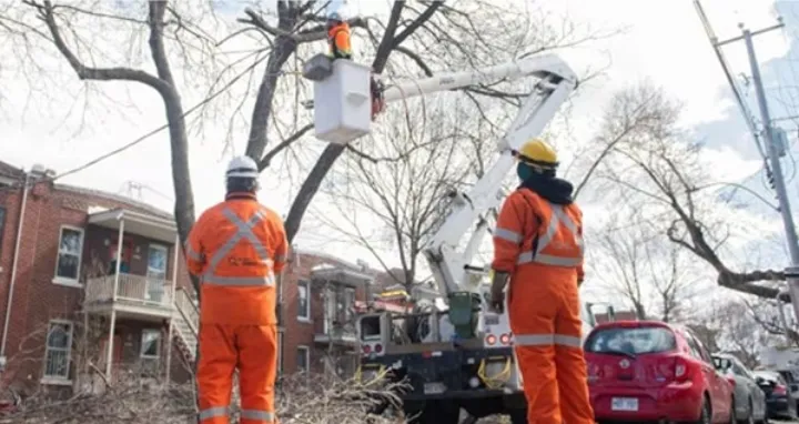پاسخ به سوالات برخی شهروندان درباره قطعی برق ناشی از طوفان اخیر در کبک